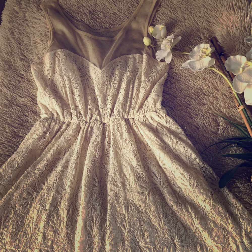 Lace Mesh Dress